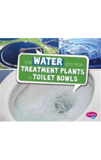 How Water Gets from Treatment Plants to Toilet Bowls