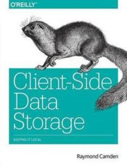 Client–Side Data Storage