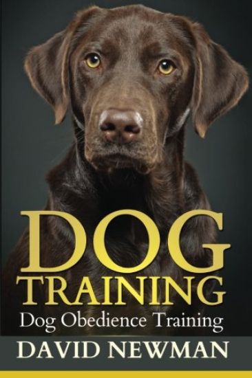 Dog Training