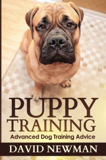 Puppy Training