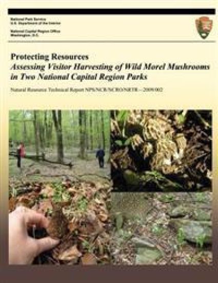 Protecting Resources: Assessing Visitor Harvesting of Wild Morel Mushrooms in Two National Capital Region Parks