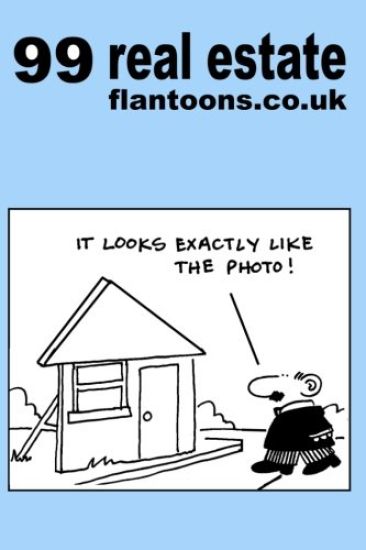 99 real estate flantoons.co.uk: 99 great and funny cartoons about property