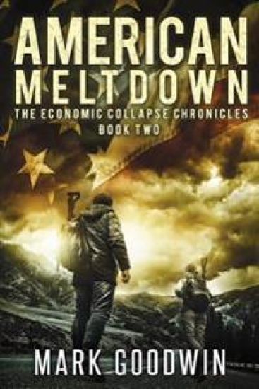 American Meltdown: Book Two of The Economic Collapse Chronicles