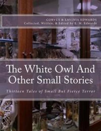 The White Owl And Other Small Stories: Thirteen Tales of Small But Fierce Terror
