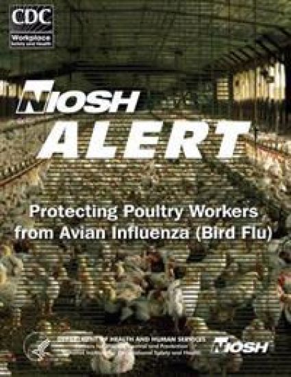 Protecting Poultry Workers From Avian Influenza (Bird Flu)