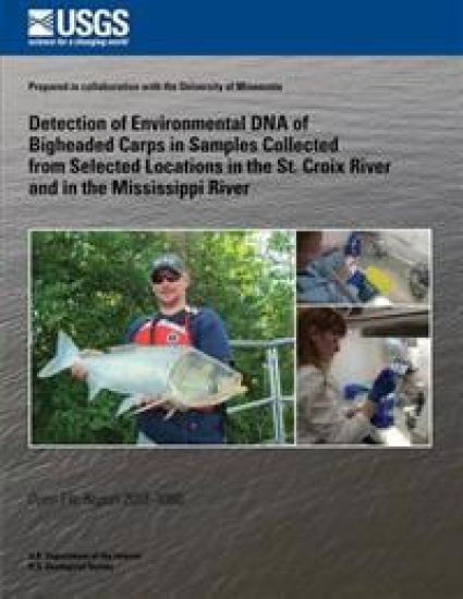Detection of Environmental DNA of Bigheaded Carps in Samples Collected from Selected Locations in the St. Croix River and in the Mississippi River