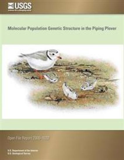 Molecular Population Genetic Structure in the Piping Plover