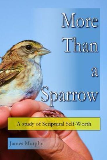 More than a Sparrow: A study of Scriptural self worth