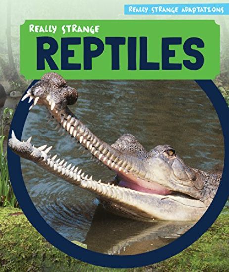 Really Strange Reptiles