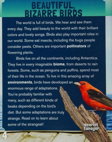 Really Strange Birds