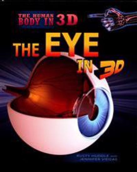 The Eye in 3D
