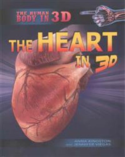 The Heart in 3D
