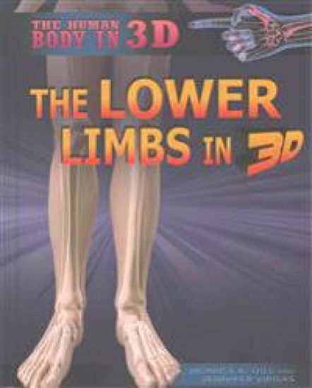 The Lower Limbs in 3D