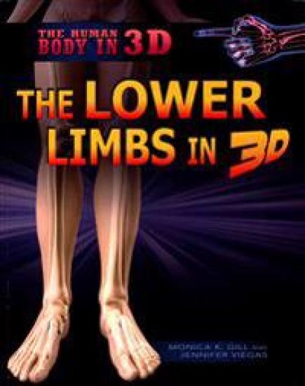 The Lower Limbs in 3D