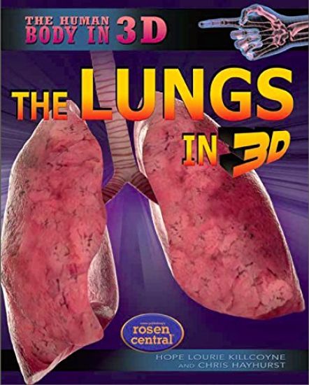The Lungs in 3D