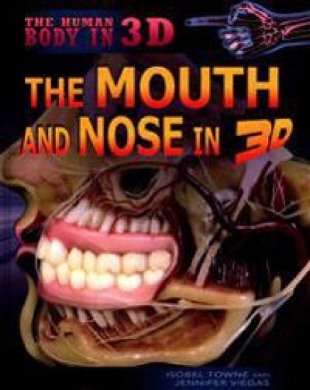 The Mouth and Nose in 3D