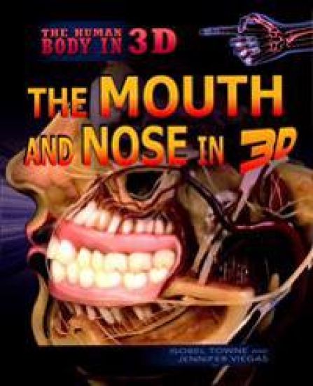 The Mouth and Nose in 3D