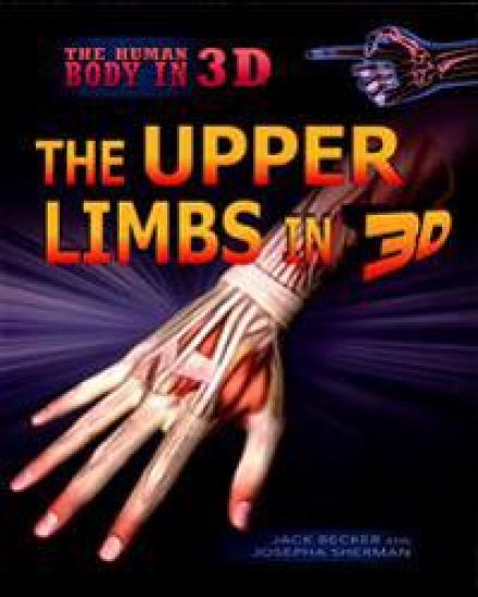 The Upper Limbs in 3D