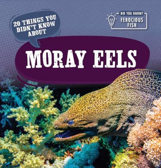 20 Things You Didn't Know about Moray Eels