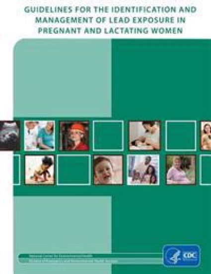 Guidelines for Identification and Management of Lead Exposure in Pregnant and Lactating Women