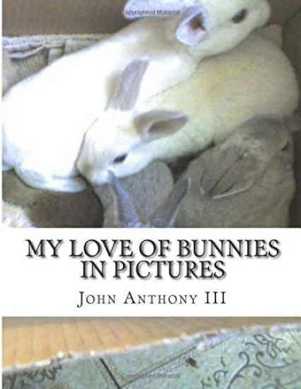 My Love of Bunnies: in pictures