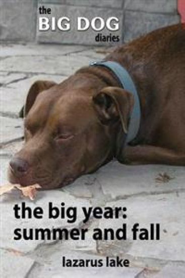 The Big Year - Summer and Fall