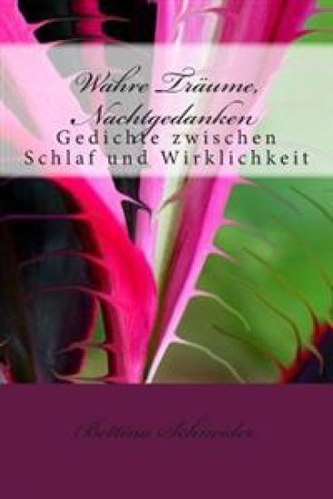 Wahre Träume, Nachtgedanken: Gedichte zwischen Schlaf und Wirklichkeit