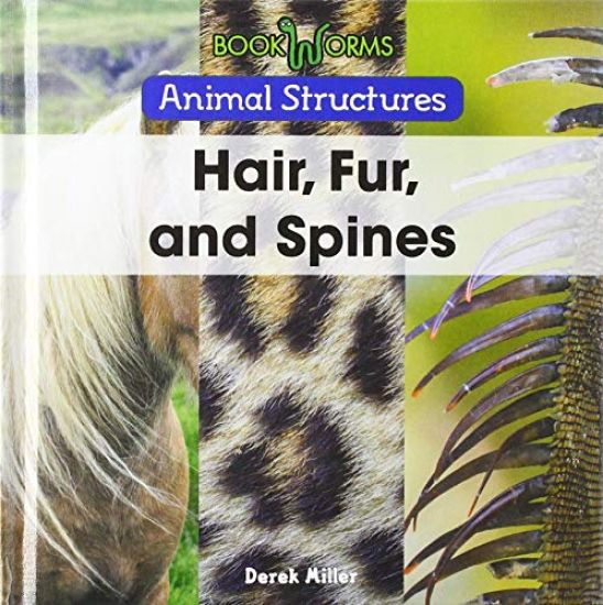 Hair, Fur, and Spines