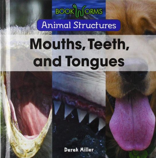 Mouths, Teeth, and Tongues