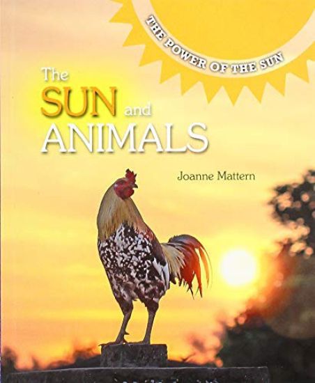 The Sun and Animals