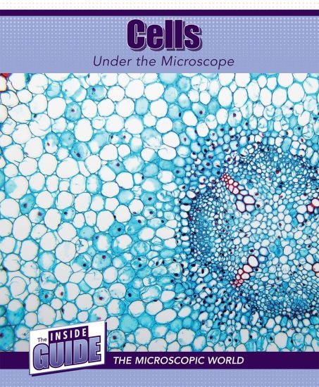 Cells Under the Microscope