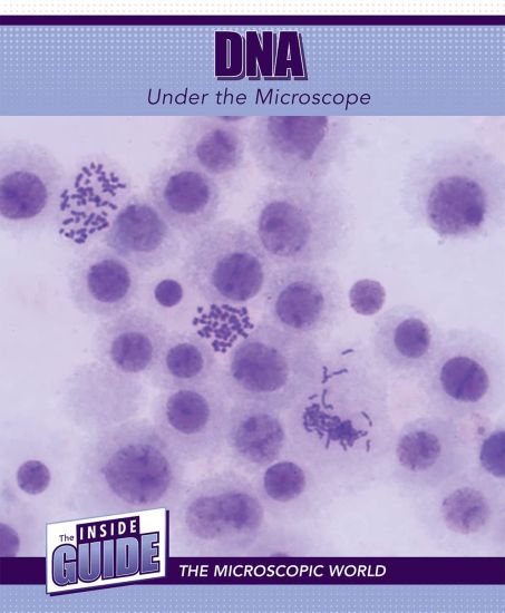DNA Under the Microscope