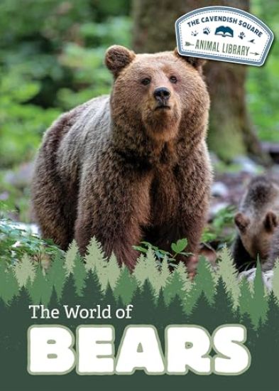 The World of Bears