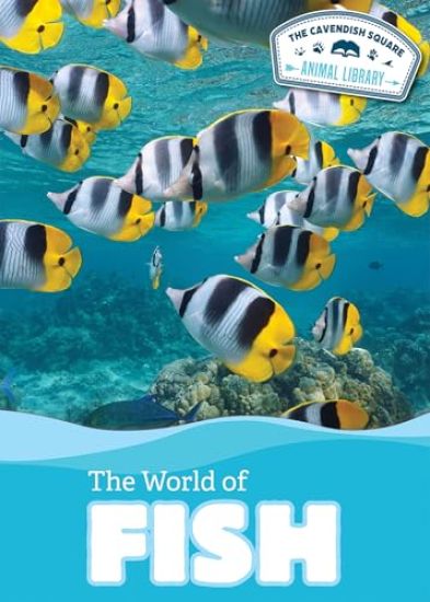 The World of Fish