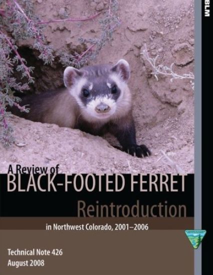 A Review of Black- Footed Ferret Reintroduction in Northwest Colorado,2001-2006