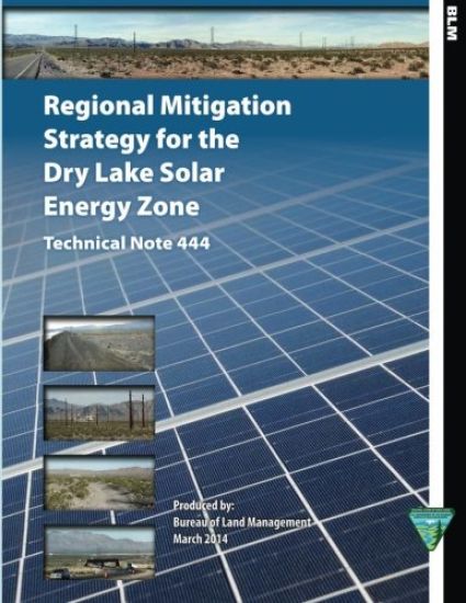 Regional Mitigation Strategy for the Dry Lake Solar Energy Zone