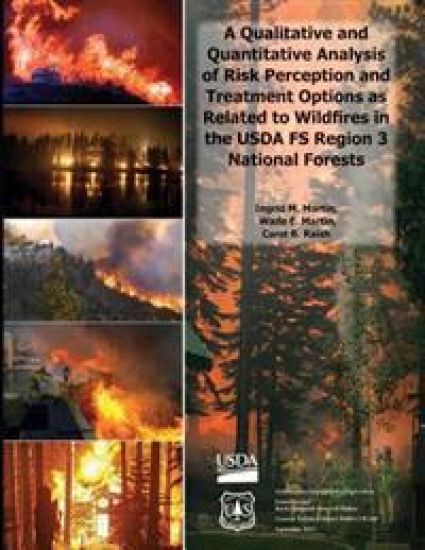 A Qualitative and Quantitative Analysis of Risk Perception and Treatment Options as Related to Wildfires in the USDA FS Region 3 National Forests