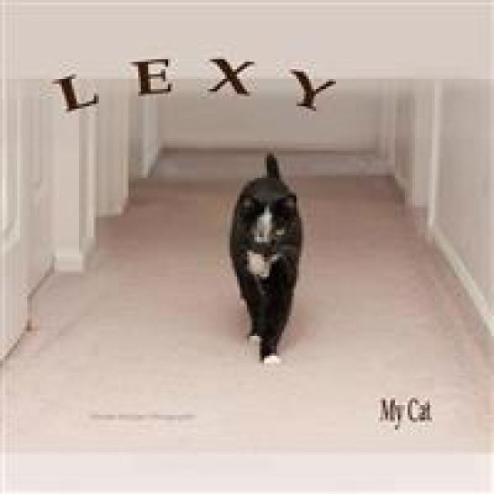 Lexy, My Cat