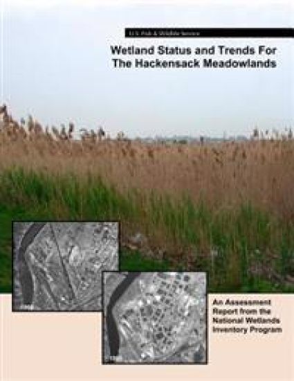 Wetland Status and Trends for the Hackensack Meadowlands: An Assessment Report from the U.S. Fish and Wildlife Service's National Wetlands Inventory P