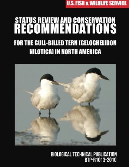 Status Review and Conservation Recommendations for the Gull-billed Tern (Gelochelidon nilotica) in North America