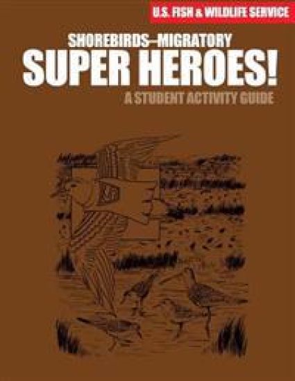 Shorebirds- Migratory Super Heroes!: A Student Activity Guide