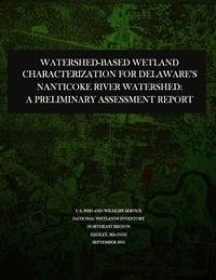 Watershed-based Wetland Characterization for Delaware's Nanticoke River Watershed: A Preliminary Assessment Report