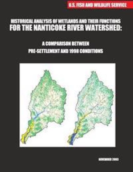 Historical Analysis of Wetlands and Their Functions For the Nanticoke River Watershed: A Comparison between Pre-settlement and 1998 Conditions