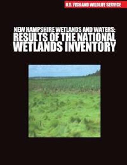 New Hampshire Wetlands and Waters: Results of the National Wetlands Inventory