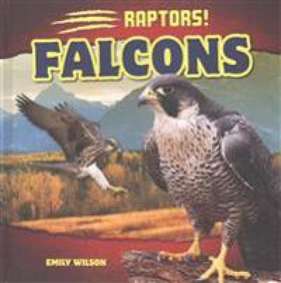Falcons