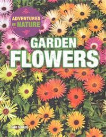 Garden Flowers