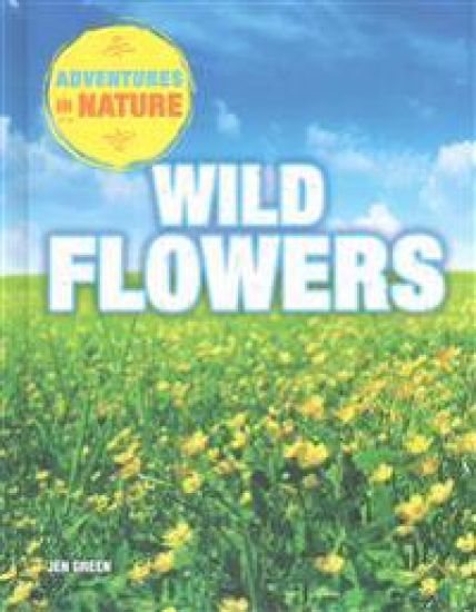 Wild Flowers