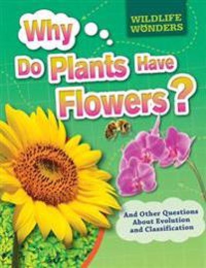 Why Do Plants Have Flowers?: And Other Questions about Evolution and Classification