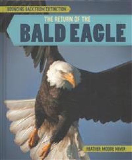 The Return of the Bald Eagle