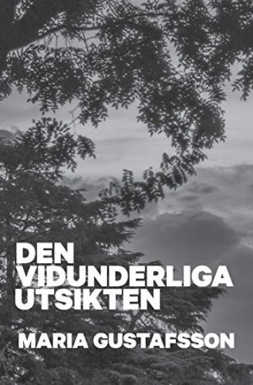Den vidunderliga utsikten: Klara Andersson bok 1